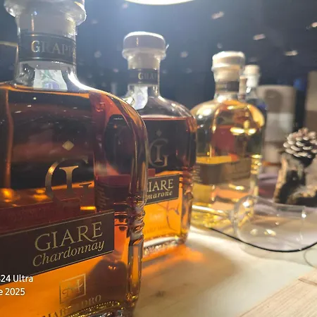 瑞雷奥利维别墅 公寓式酒店 3*