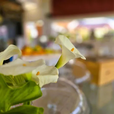 アパートホテル Relais Olivi 3*