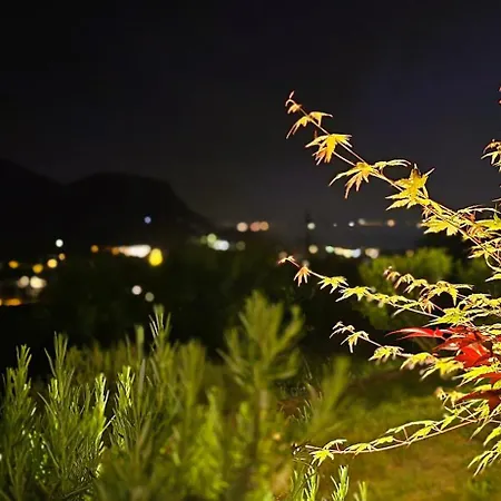 瑞雷奥利维别墅 3* 科斯特曼诺