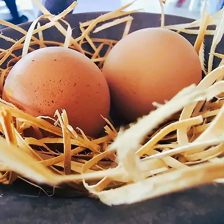 Relais Olivi Costermano