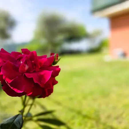 Relais Olivi Lägenhetshotell