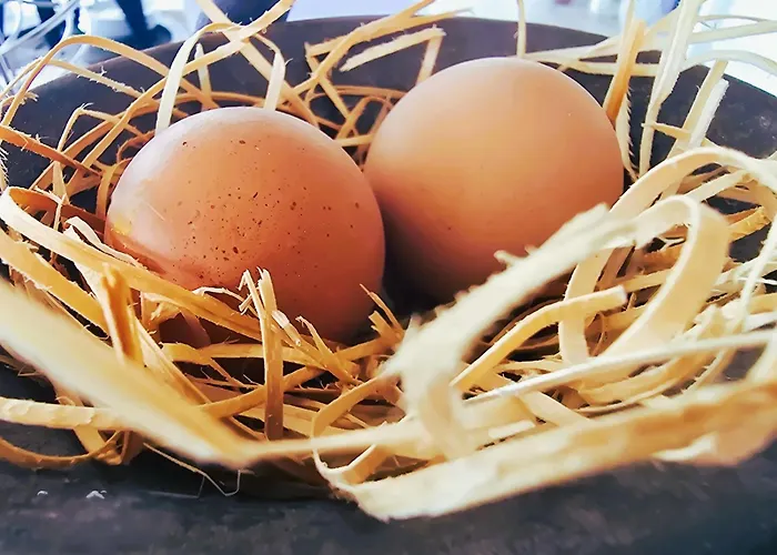 Relais Olivi Costermano