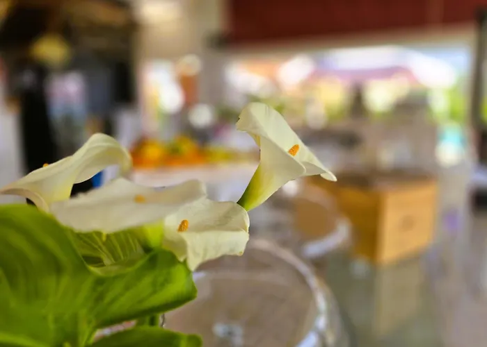 Lägenhetshotell Relais Olivi 3*