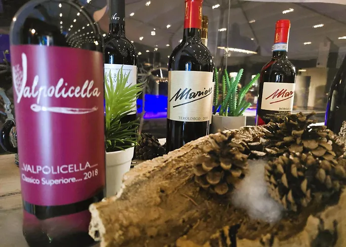 Relais Olivi Lägenhetshotell Costermano