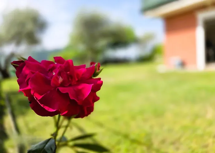 Relais Olivi Lägenhetshotell